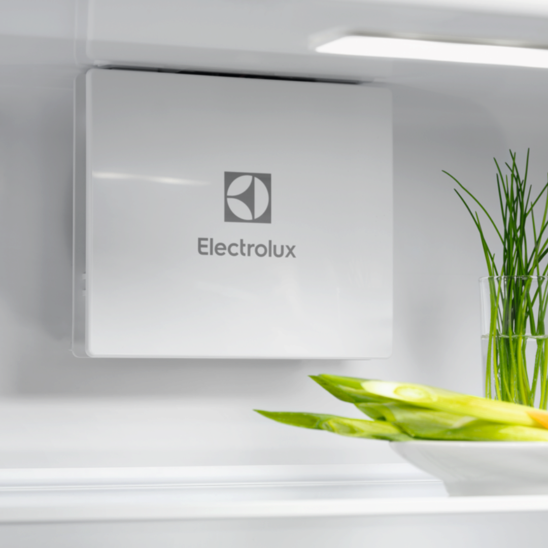 Electrolux Fridge with a bowl of lemons and a plant on a white countertop