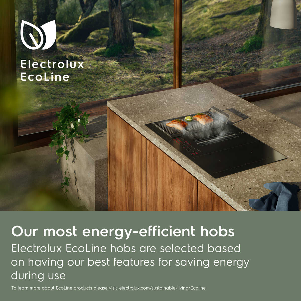 Electrolux EcoLine kitchen with energy-efficientElectrolux Black Extraction induction Hob and scenic view