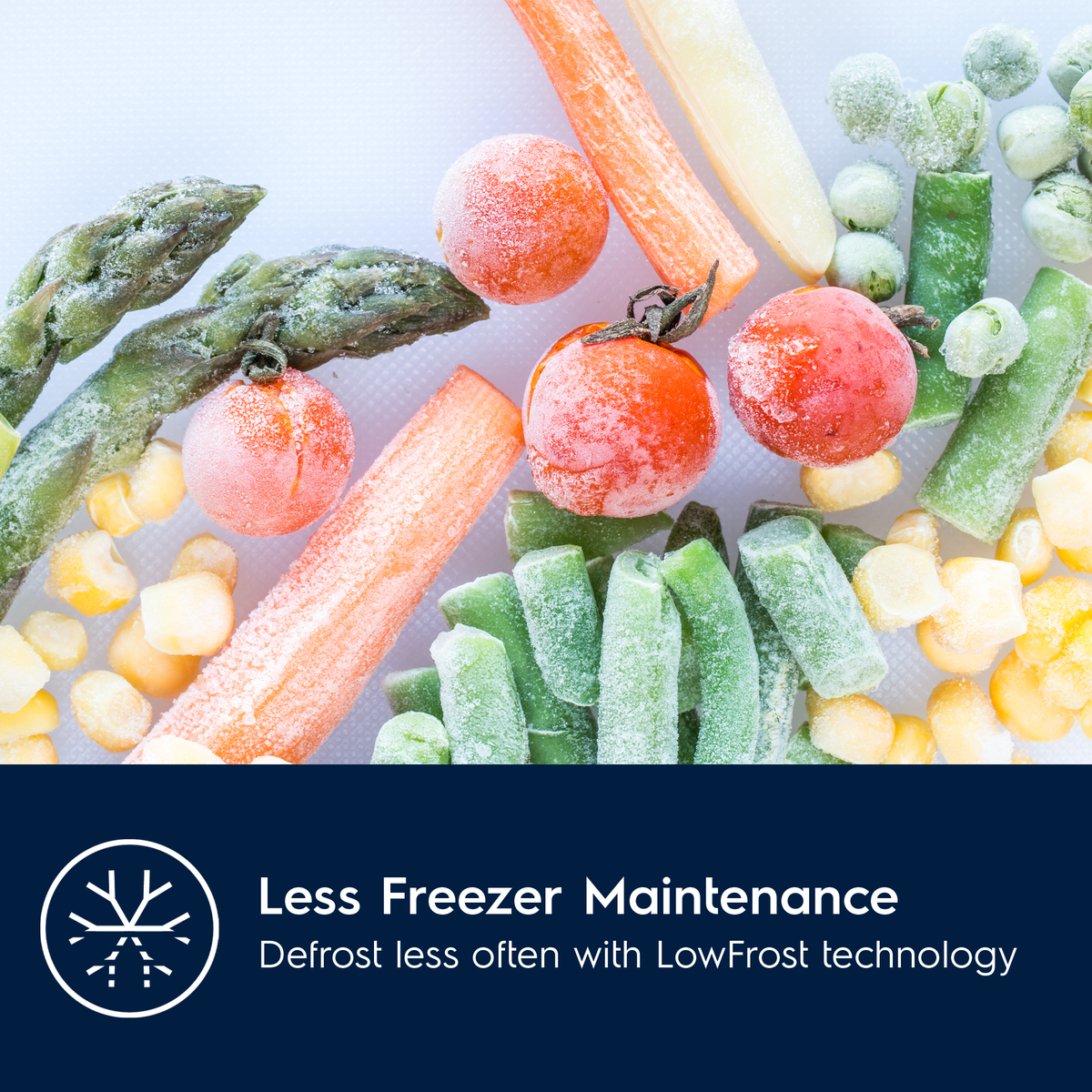 Electrolux Frozen vegetables on a white background with text about LowFrost technology.