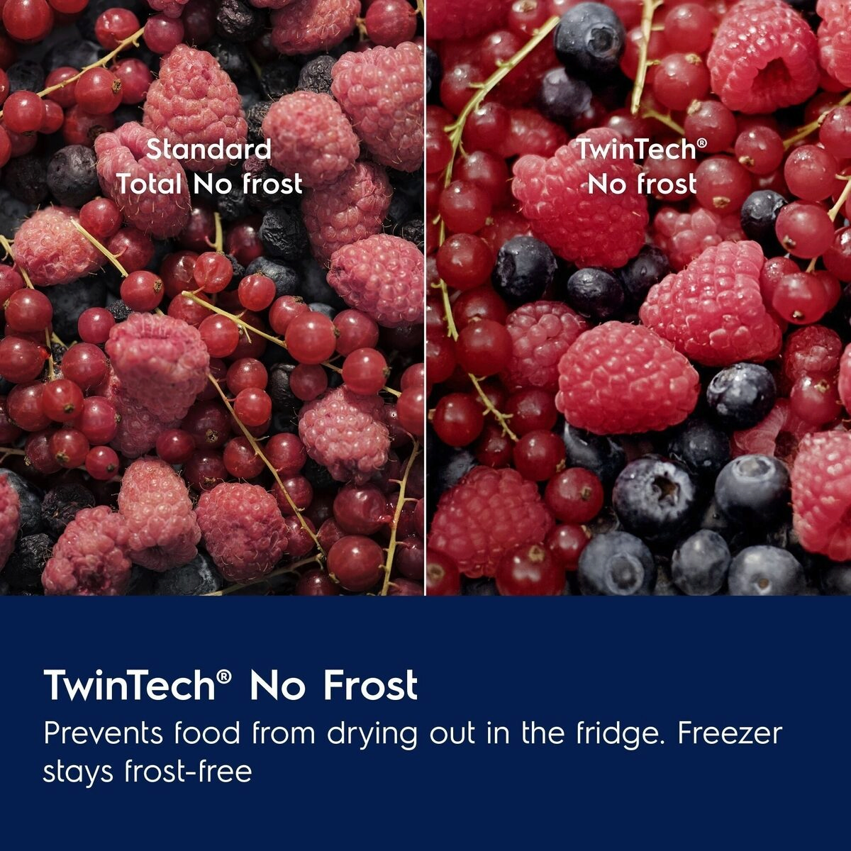 Comparison of frozen berries labeled 'Standard Total No Frost' and Electrolux 'TwinTech No Frost' with a blue background.